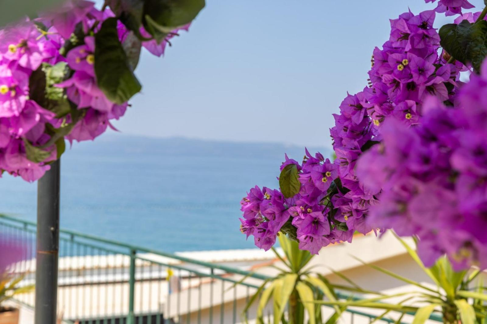 Beachfront Comfort Apartment Nives Tučepi Eksteriør bilde
